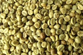  Cà phê Nhân Robusta - Đánh bóng Ướt